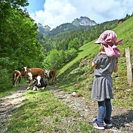Bed And Breakfast - Die Aelplersuit Fuer Backpackers Im Berghuesli Linthal Dış mekan fotoğraf