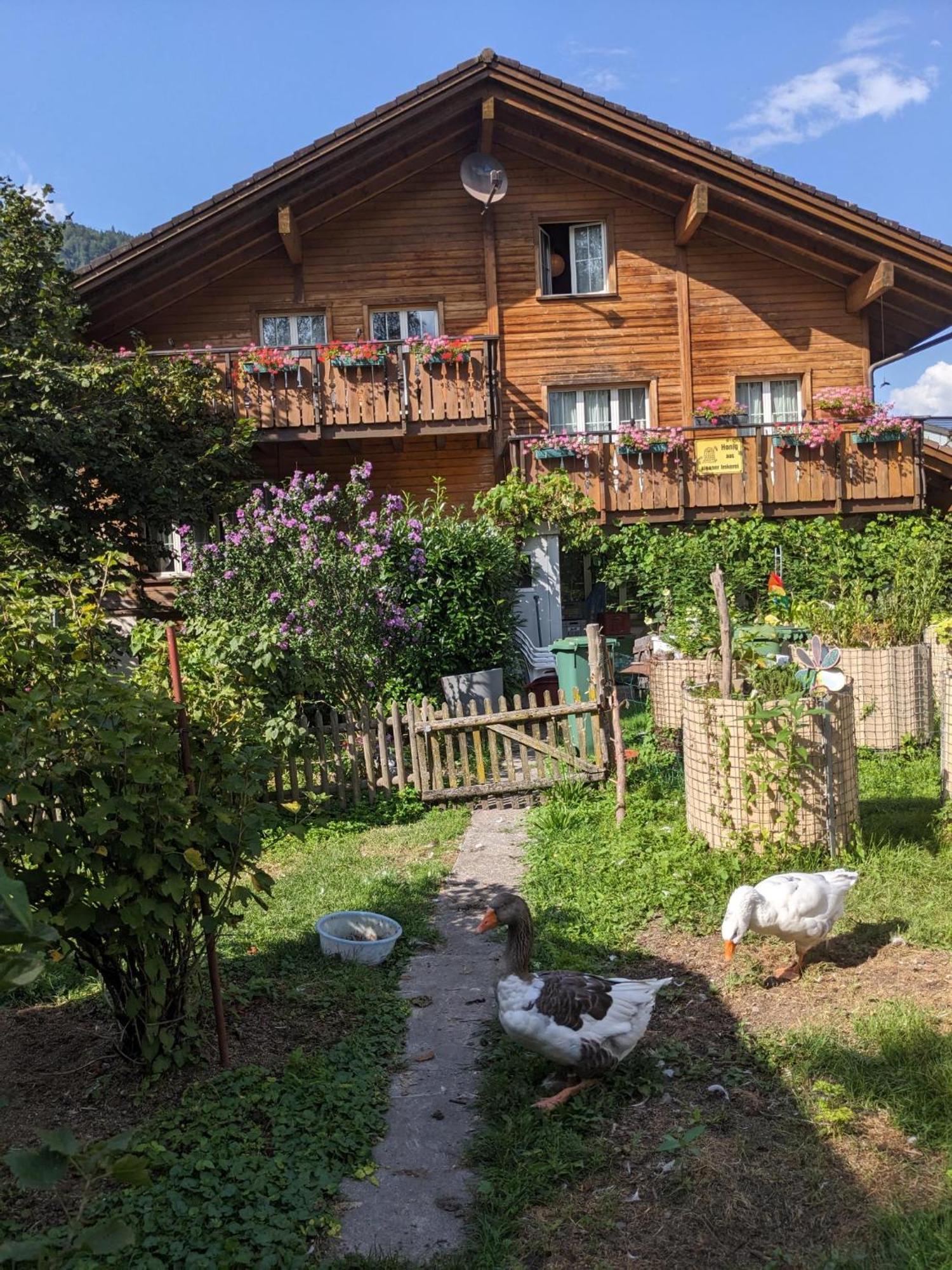 Bed And Breakfast - Die Aelplersuit Fuer Backpackers Im Berghuesli Linthal Dış mekan fotoğraf