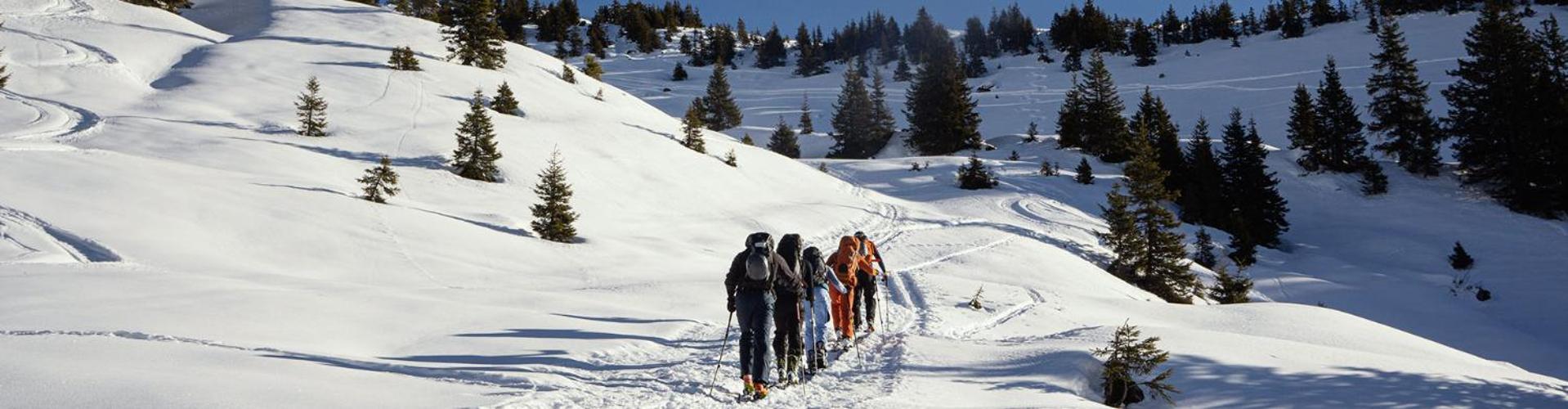 Bed And Breakfast - Die Aelplersuit Fuer Backpackers Im Berghuesli Linthal Dış mekan fotoğraf